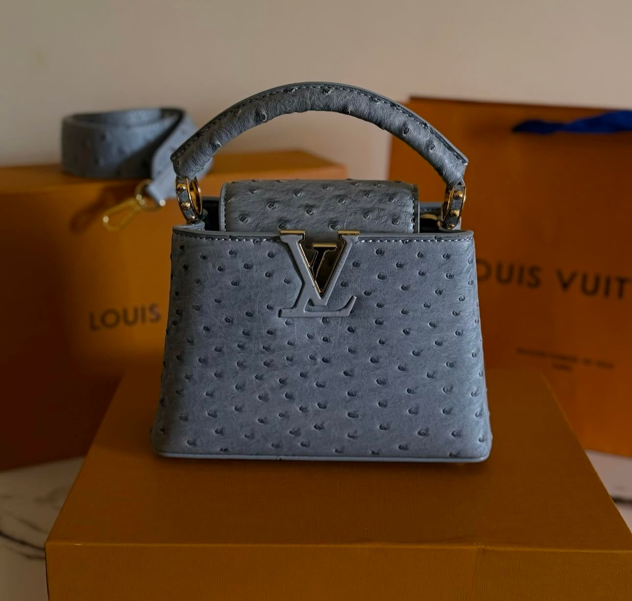 Sac Louis Vu*tton