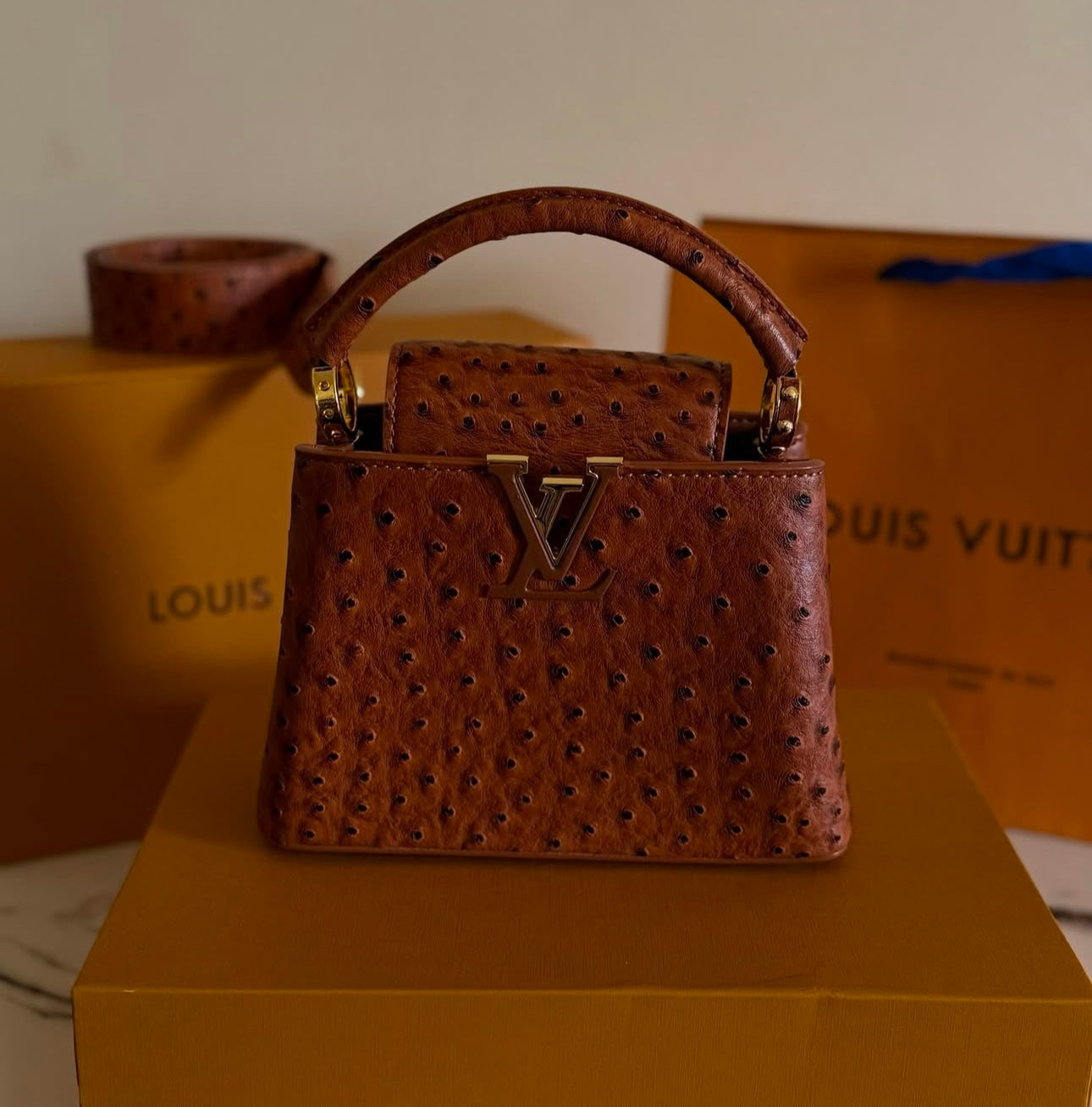 Sac Louis Vu*tton