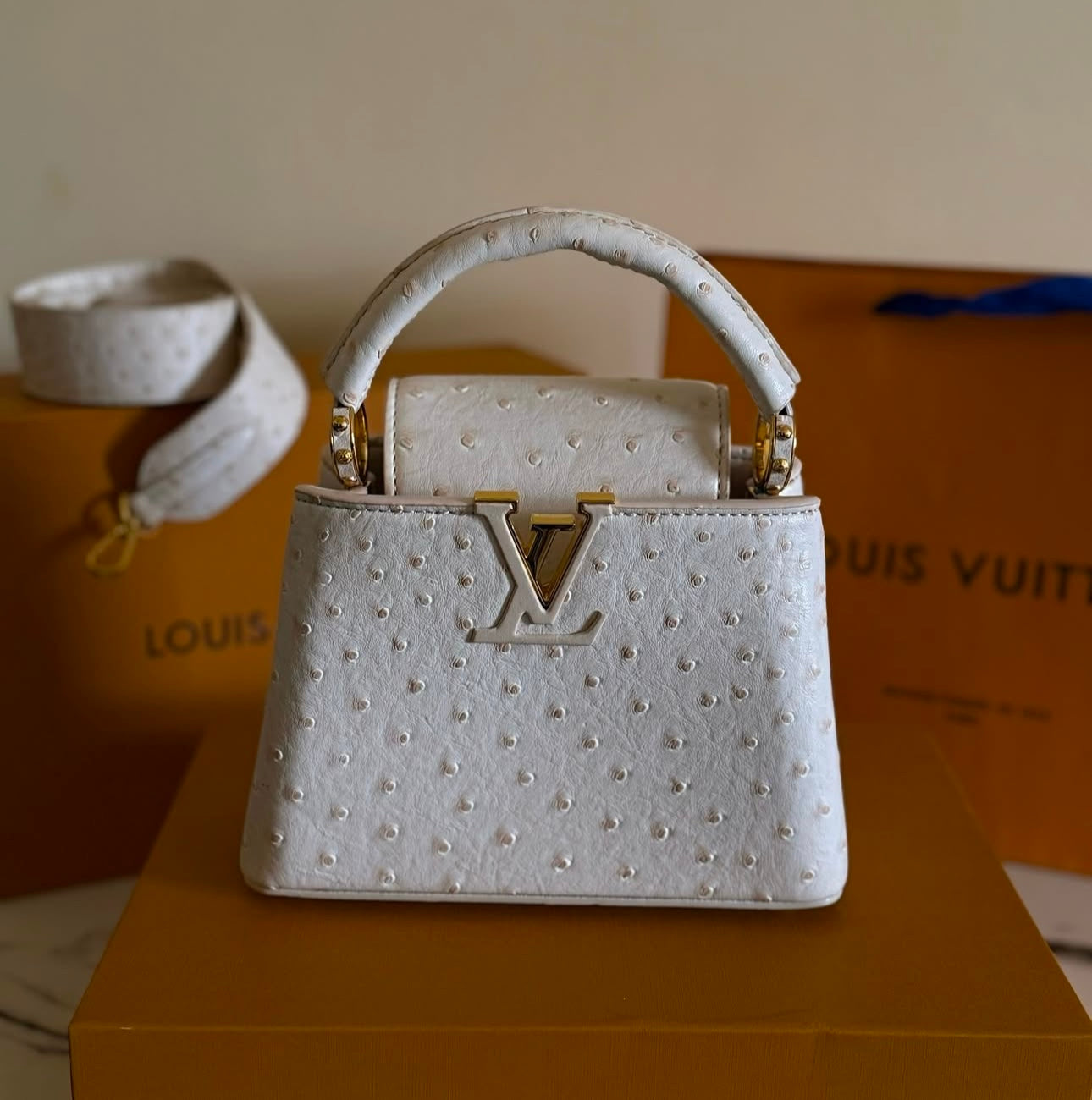 Sac Louis Vu*tton