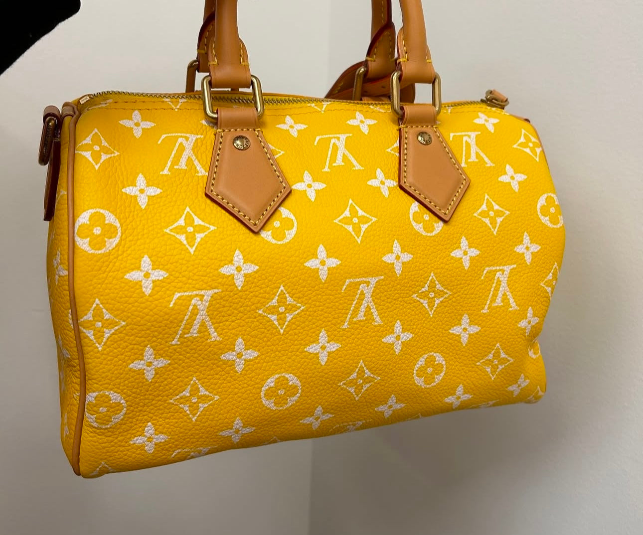 Sac Louis Vu*tton