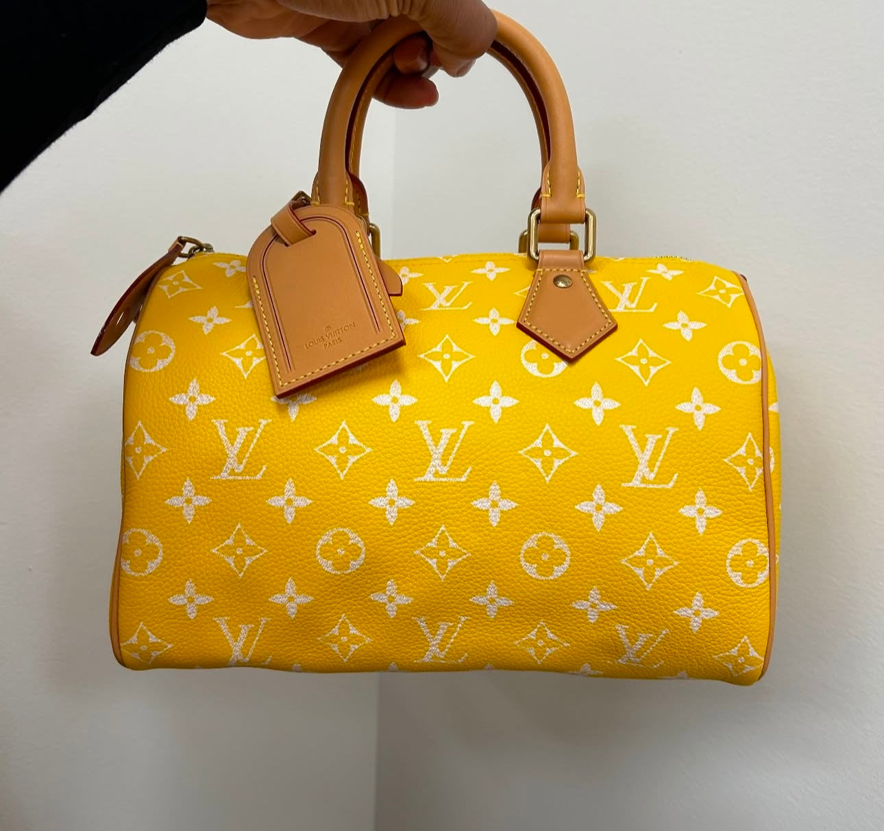Sac Louis Vu*tton