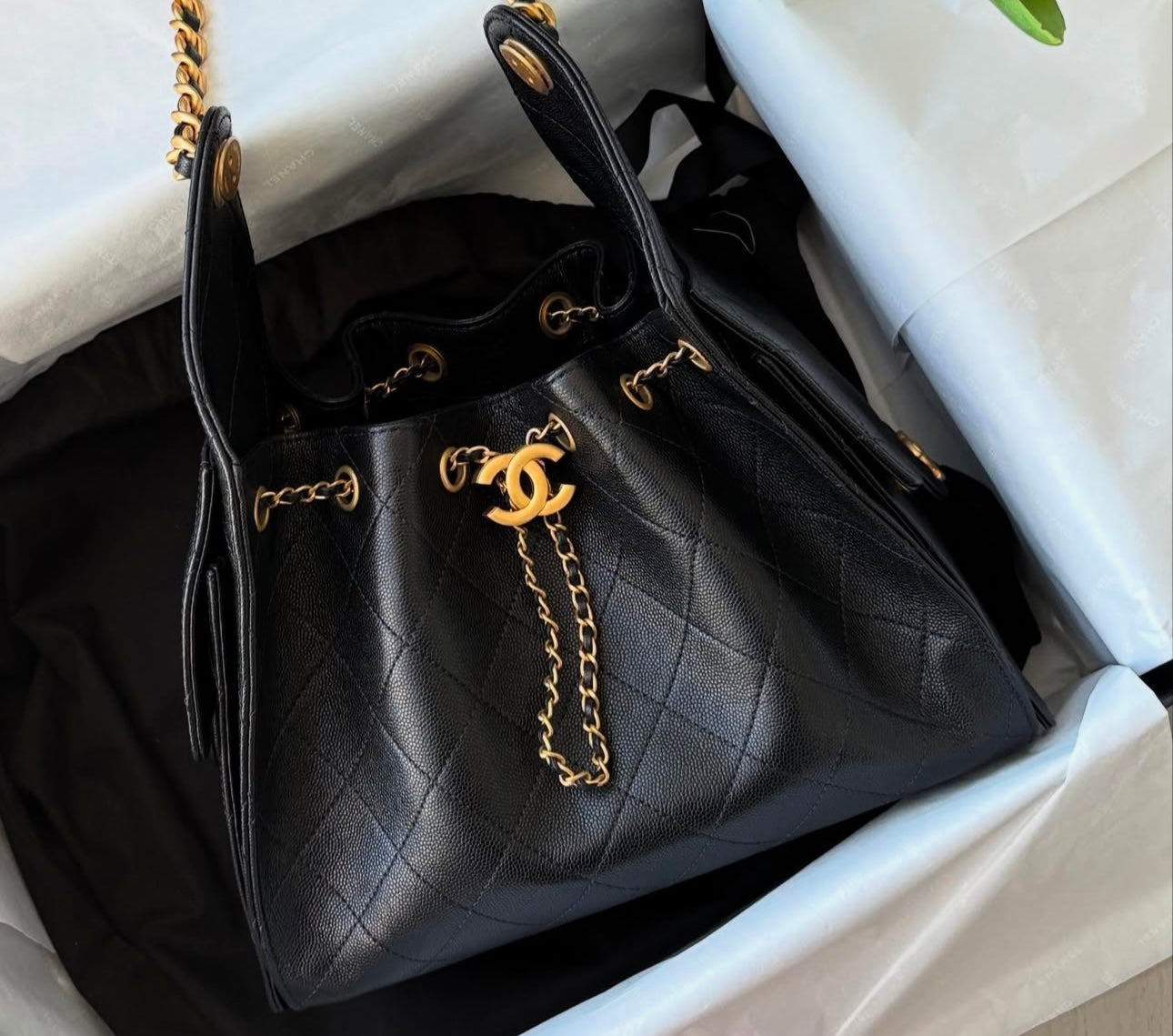 Sac Ch*nel